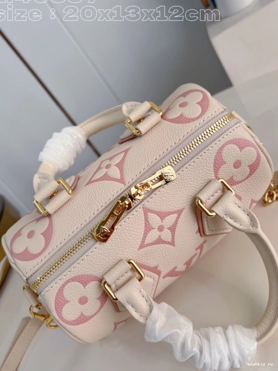 WIS LOUIS SPEEDY VUITTON 20 BANDOULIÈRE 0313